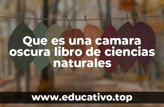 Que es una camara oscura libro de ciencias naturales