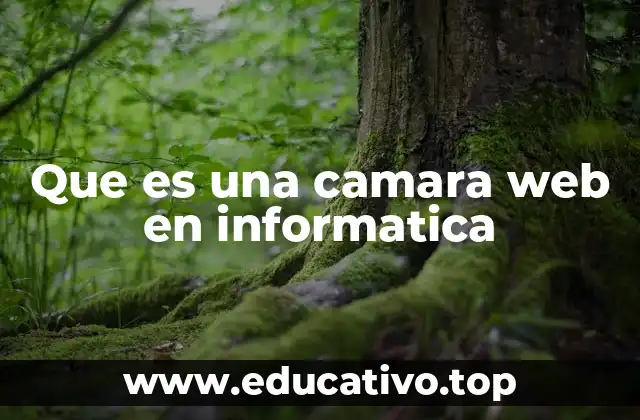 Que es una camara web en informatica