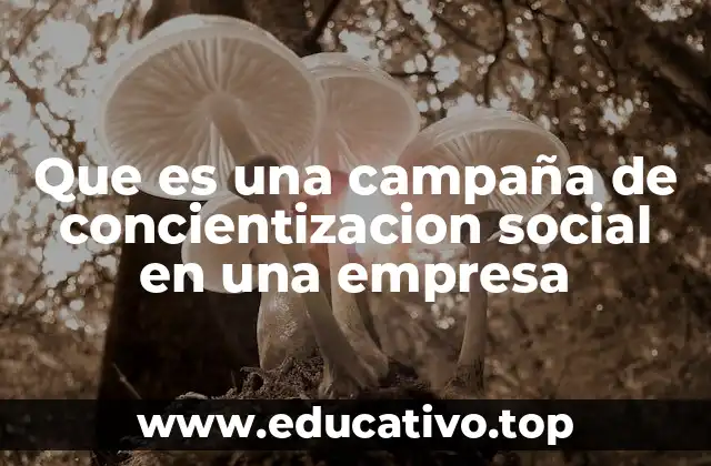 Que es una campaña de concientizacion social en una empresa