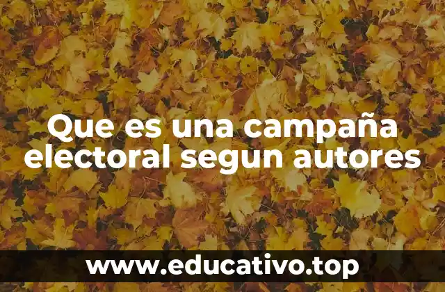 Que es una campaña electoral segun autores