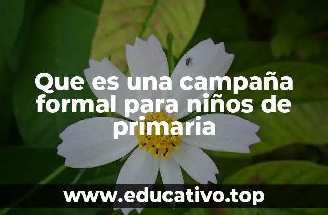 La importancia de diseñar campañas adecuadas para niños en edad escolar