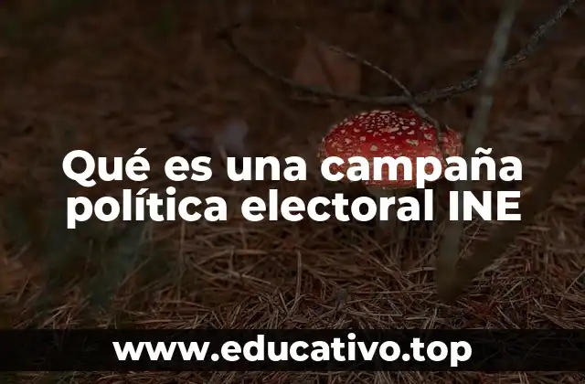Qué es una campaña política electoral INE