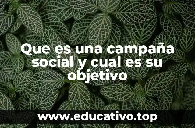 Que es una campaña social y cual es su objetivo