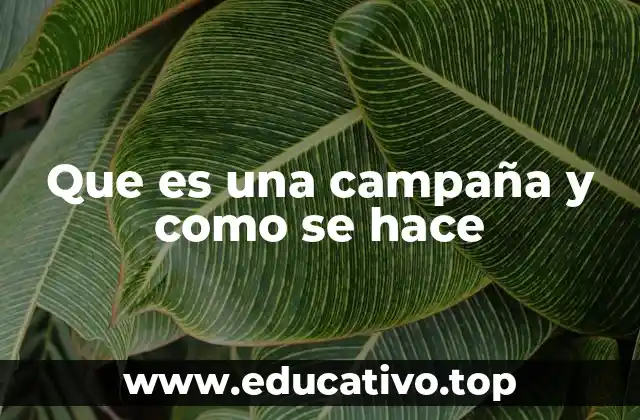 Que es una campaña y como se hace