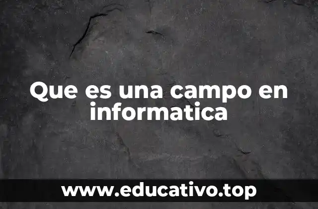 Que es una campo en informatica