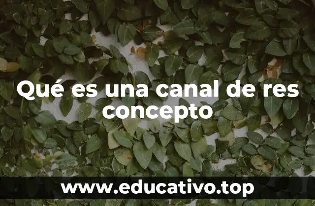 Qué es una canal de res concepto