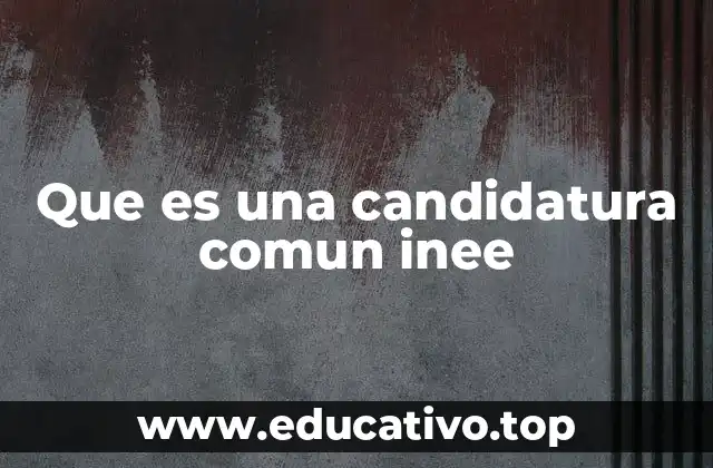 Que es una candidatura comun inee