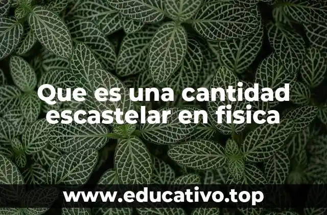 Que es una cantidad escastelar en fisica