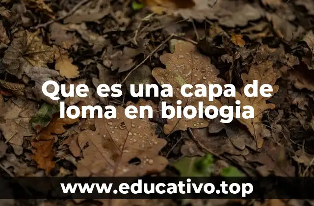 La importancia ecológica de la capa vegetal superficial