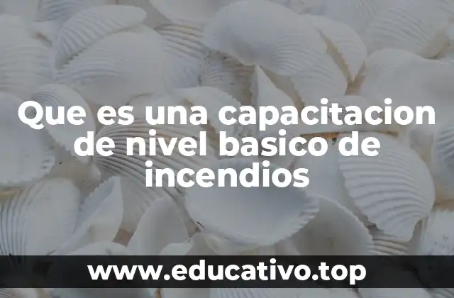 Que es una capacitacion de nivel basico de incendios