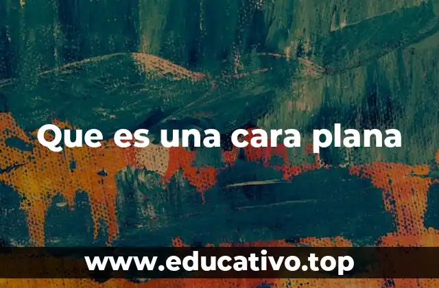 Que es una cara plana