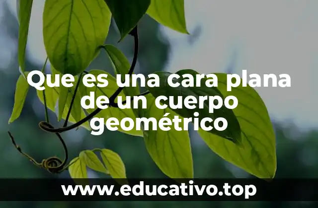 Que es una cara plana de un cuerpo geométrico