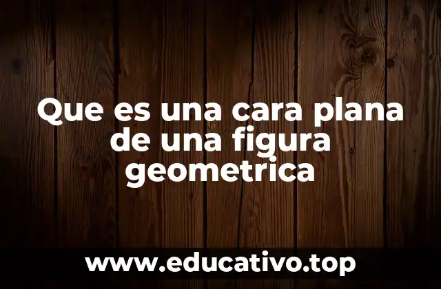 Que es una cara plana de una figura geometrica