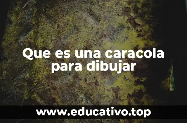 Dibujar con inspiración en formas naturales como las caracolas