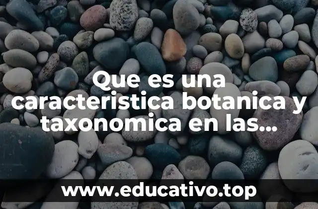Que es una caracteristica botanica y taxonomica en las plantas
