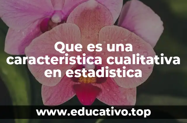 Que es una caracteristica cualitativa en estadistica