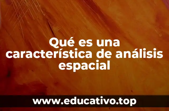 Qué es una característica de análisis espacial