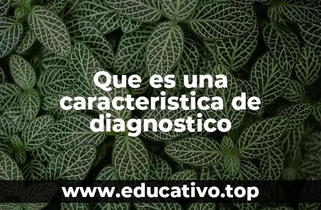Que es una caracteristica de diagnostico