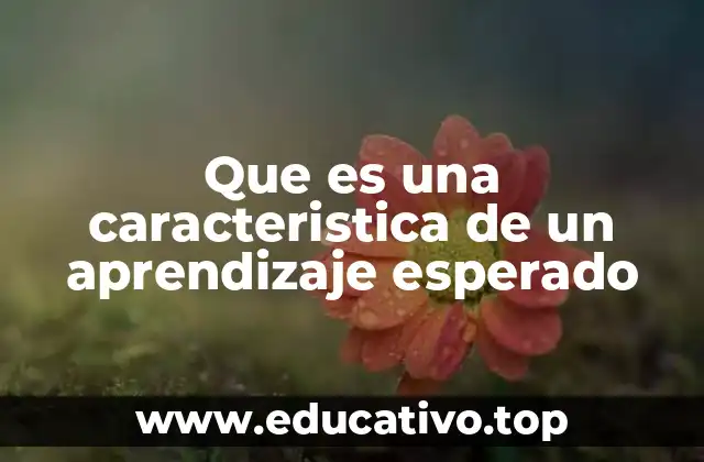 Que es una caracteristica de un aprendizaje esperado