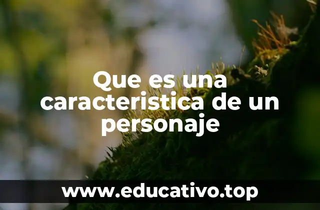 Que es una caracteristica de un personaje
