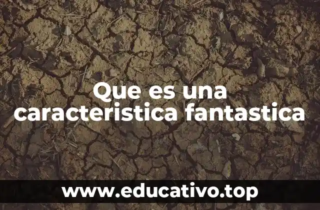 Que es una caracteristica fantastica