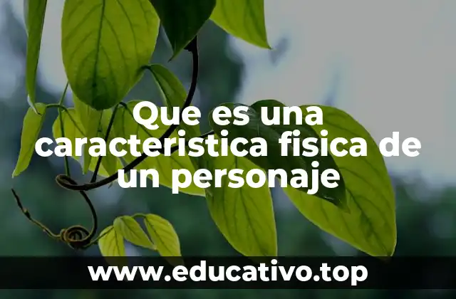 Que es una caracteristica fisica de un personaje