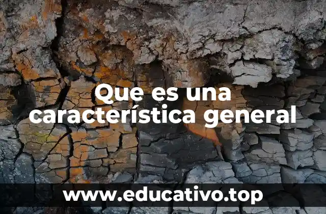 Que es una característica general