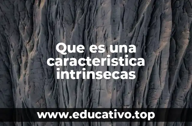 Que es una caracteristica intrinsecas