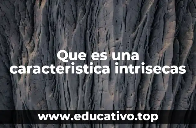 Que es una caracteristica intrisecas