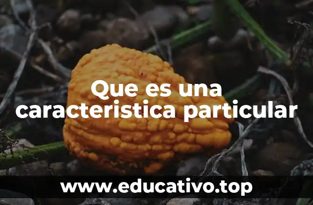 Que es una caracteristica particular