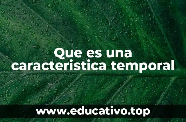 Que es una caracteristica temporal