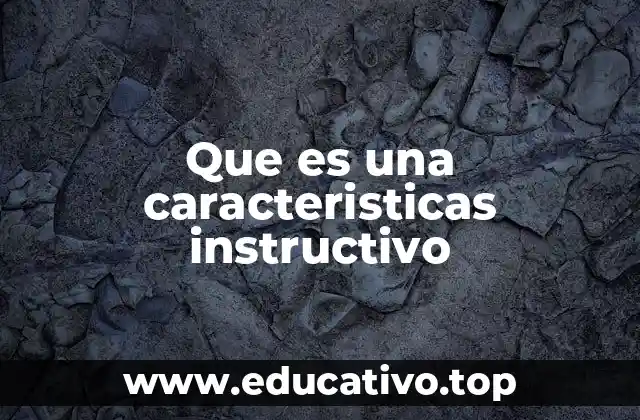Que es una caracteristicas instructivo