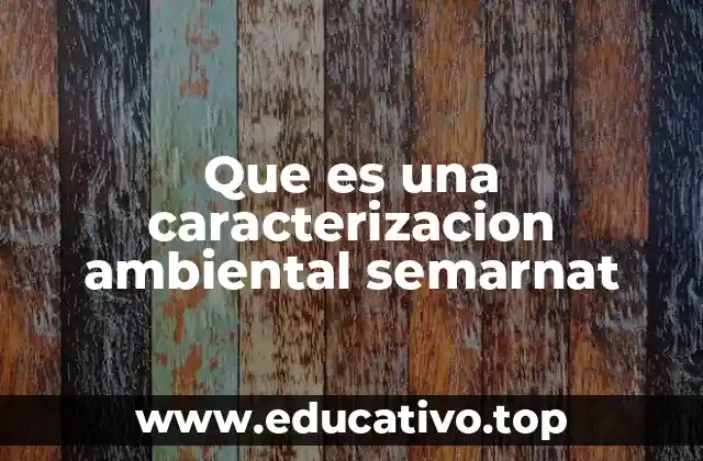 Que es una caracterizacion ambiental semarnat