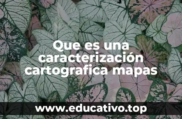 Que es una caracterización cartografica mapas