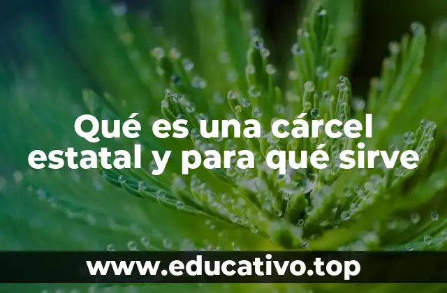 Qué es una cárcel estatal y para qué sirve