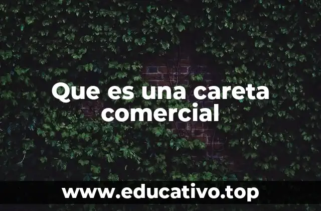 Que es una careta comercial