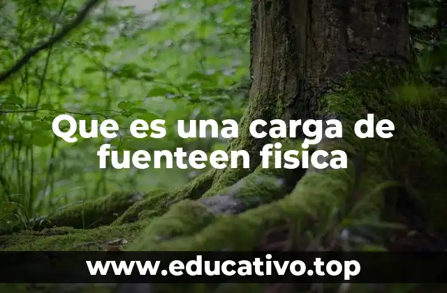Que es una carga de fuenteen fisica