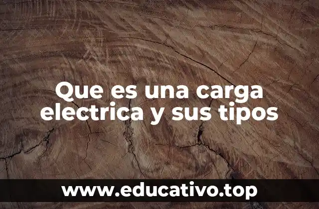 Que es una carga electrica y sus tipos