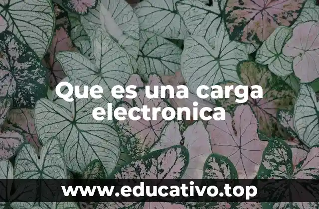 Cómo se manifiesta la carga eléctrica en la naturaleza