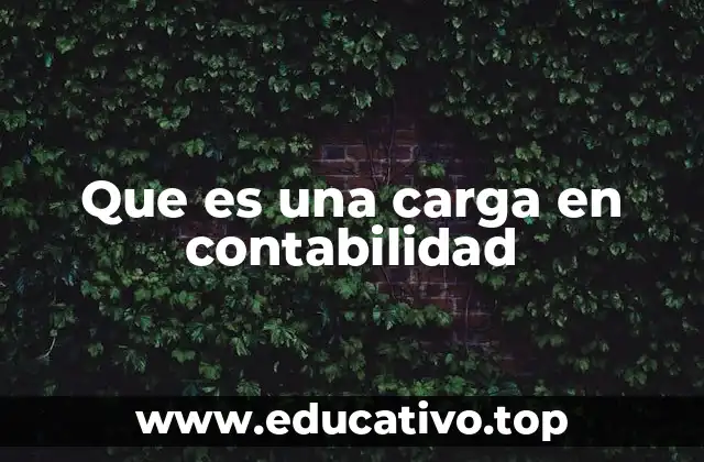 Que es una carga en contabilidad