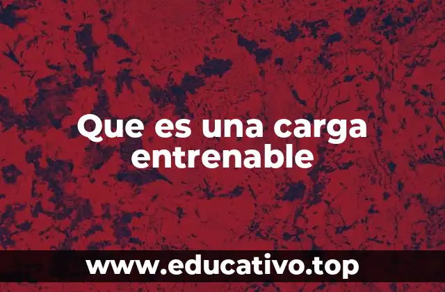 Que es una carga entrenable
