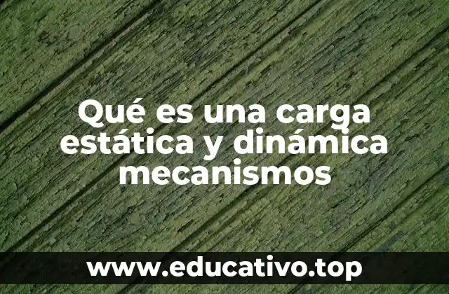Qué es una carga estática y dinámica mecanismos