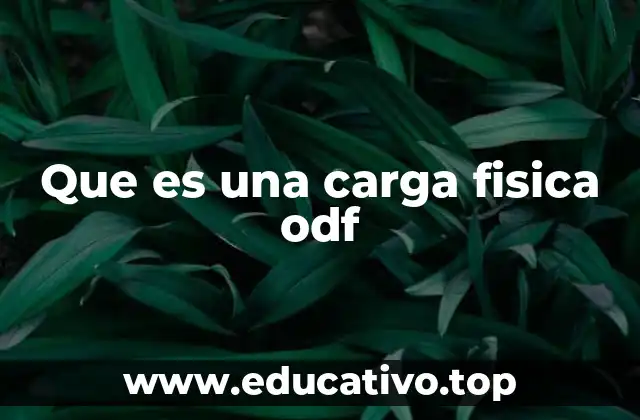 Que es una carga fisica odf