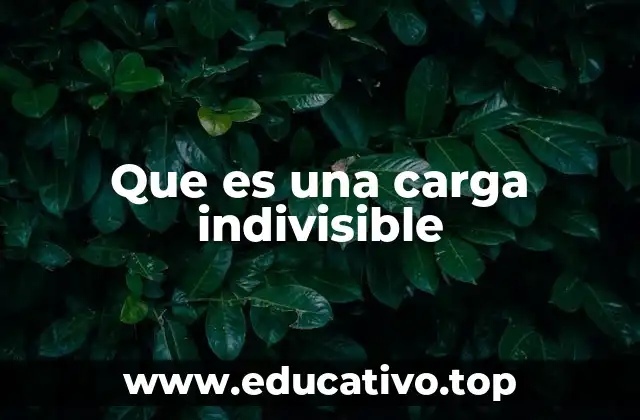 Que es una carga indivisible