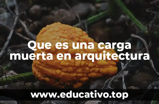 Que es una carga muerta en arquitectura