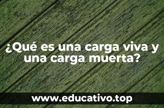 ¿Qué es una carga viva y una carga muerta?