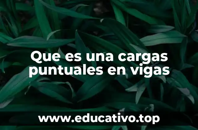 Que es una cargas puntuales en vigas