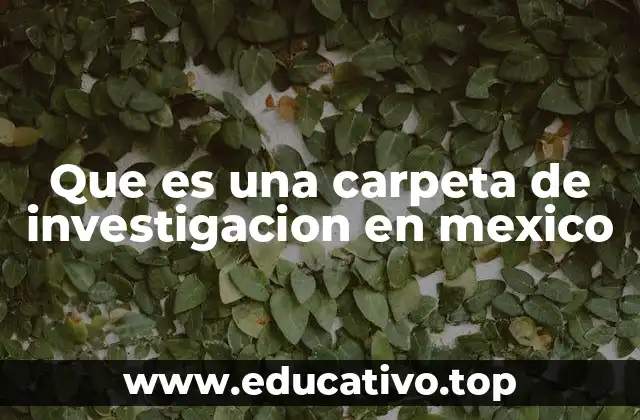 Que es una carpeta de investigacion en mexico