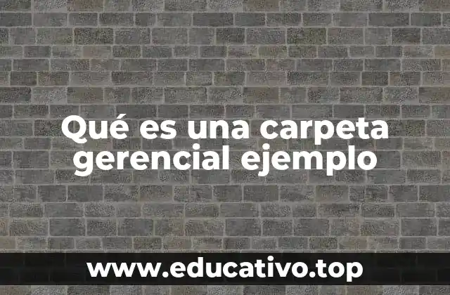 Qué es una carpeta gerencial ejemplo
