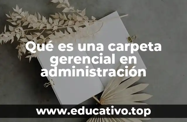 Qué es una carpeta gerencial en administración
